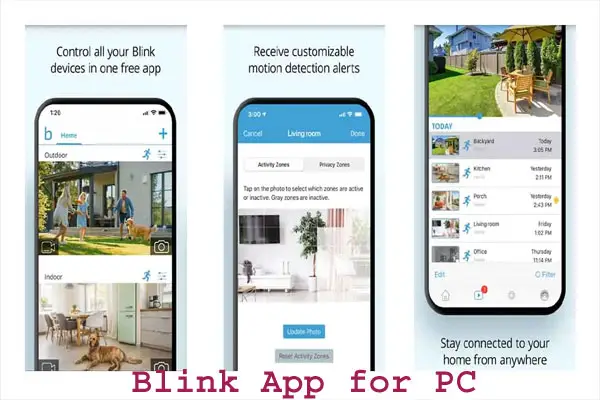 blink-app-windows